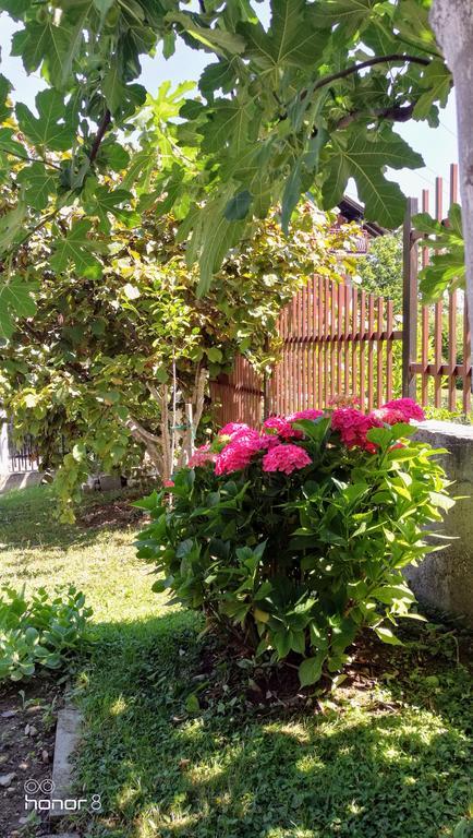 Apartment Mirjana Banja Luka Bagian luar foto